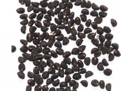 牽?；ǚN子泡水開(kāi)裂